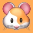 WWW,629av·COM网站APPAPP应用