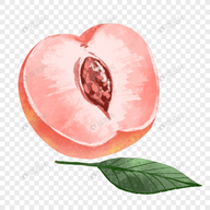 蜗牛视频下载APP应用